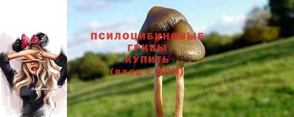гашишное масло Богородицк