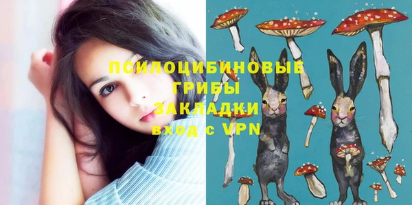 jwh Богородск