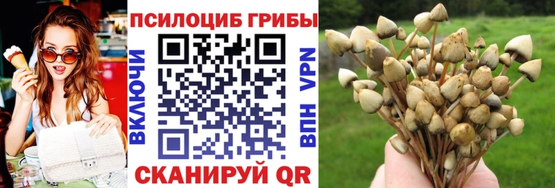 наркотики  Демидов  Галлюциногенные грибы MAGIC MUSHROOMS 